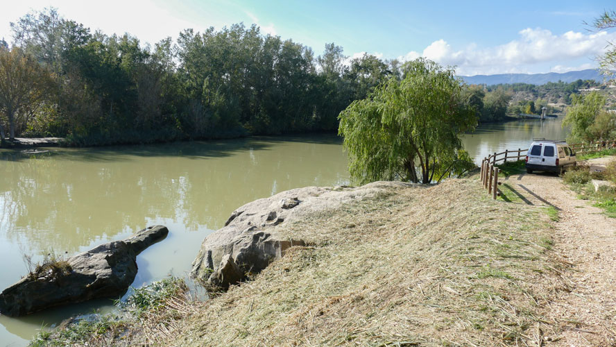 🗞 L'Ajuntament impulsa la millora ambiental de la llera del riu amb la restauració i mesures de control de vegetació invasora per recuperar la visibilitat i l'accessibilitat de l'entorn fluvial.

<a href="/gnfreixe/">Grup de Natura Freixe</a> <a href="/aigua_cat/">ACA</a> 

▶️ NOTÍCIA flix.cat/2024/10/29/sin…
