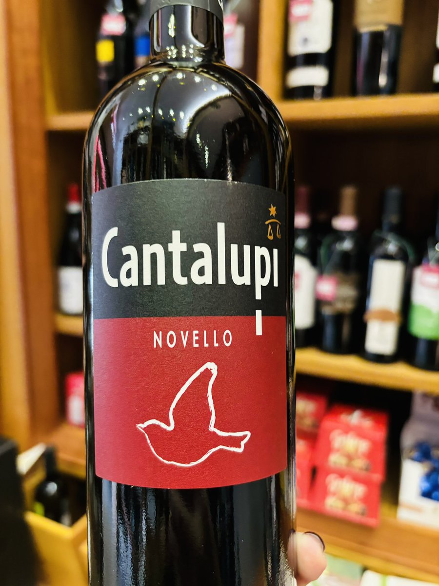 lcdcavatappi's tweet photo. 🍇✨ È arrivato il Novello 2024! ✨🍇
A La Compagnia del Cavatappi, due scelte di vino novello ti aspettano:
•Cantalupi Novello: Primitivo e Negroamaro.
•Novello della Cantina di Solopaca: Aglianico e Sangiovese
Porta a casa il sapore dell’autunno! 🍷 https://t.co/SA0qyNUp69