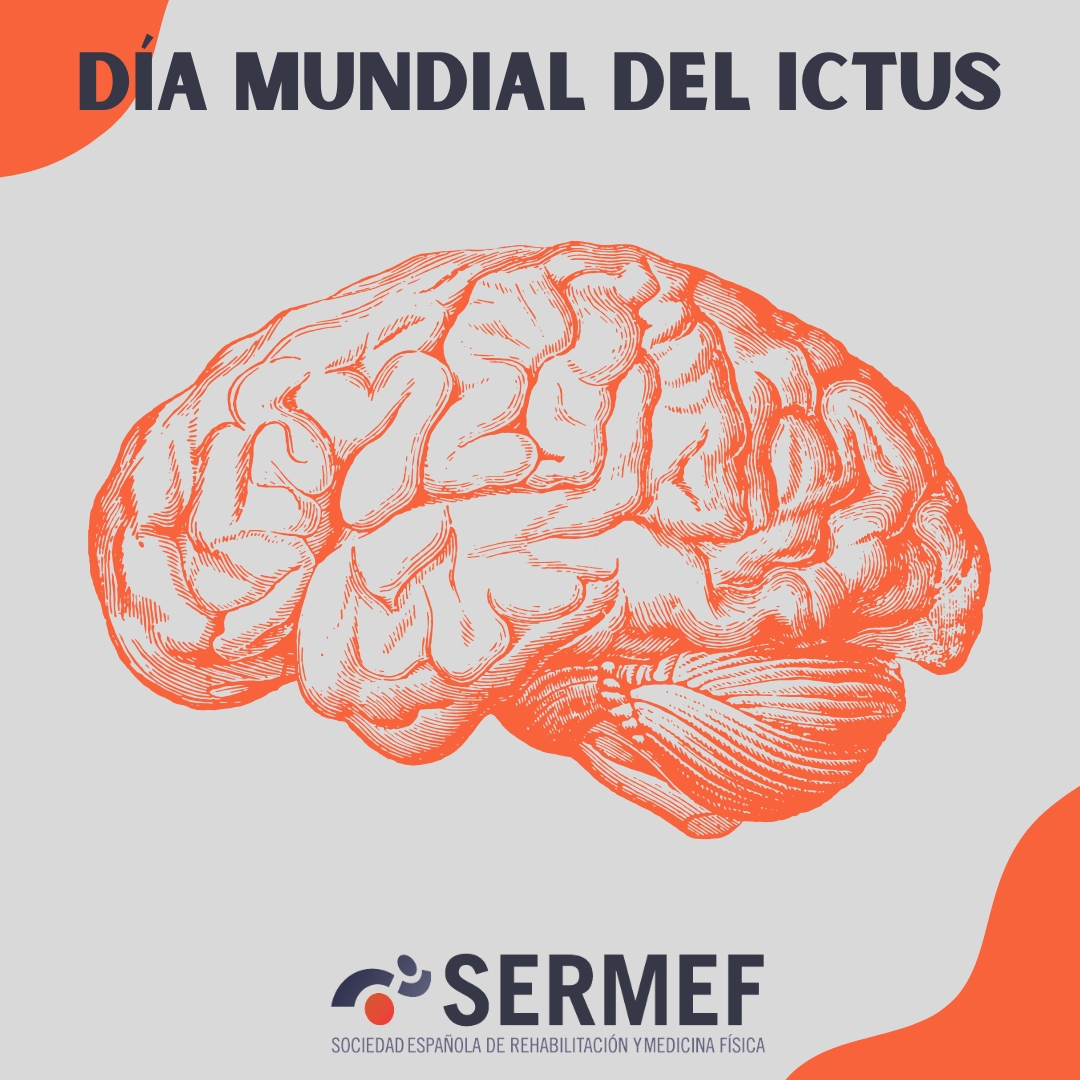 🧠El 50% de los supervivientes de ictus sufre secuelas, pero la rehabilitación temprana puede reducir la dependencia en un 20%💪

En el #DíaMundialDelIctus, destacamos su importancia para mejorar la calidad de vida, aunque existen desigualdades en el acceso a estos tratamientos🏥