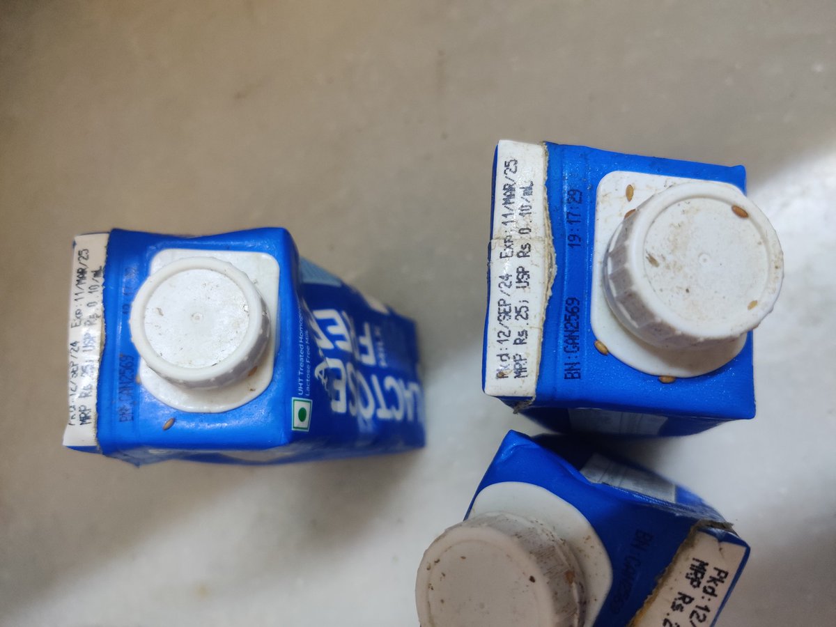 TheMissCurious's tweet photo. Bought milk from @letsblinkit , got worms/maggots free! 💀 🤢 https://t.co/x8v8PUHKkd