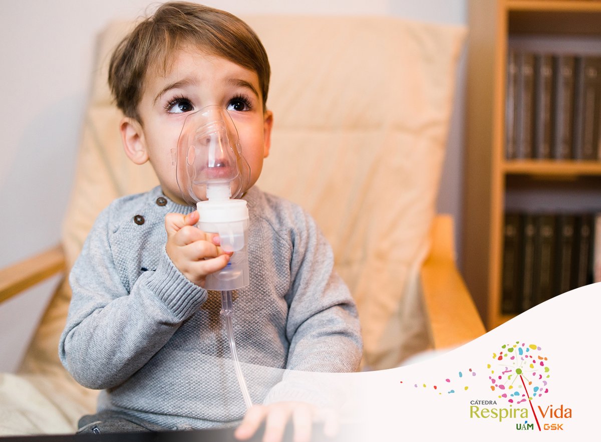 La neumonía es la principal causa de muerte en la población infantil, incluyendo a muchos recién nacidos. Por ello, el 12 de noviembre es el #DíaMundialContralaNeumonía, una enfermedad que causa estragos a nivel mundial. Noticia sobre la patología 👉lc.cx/LdNvvU