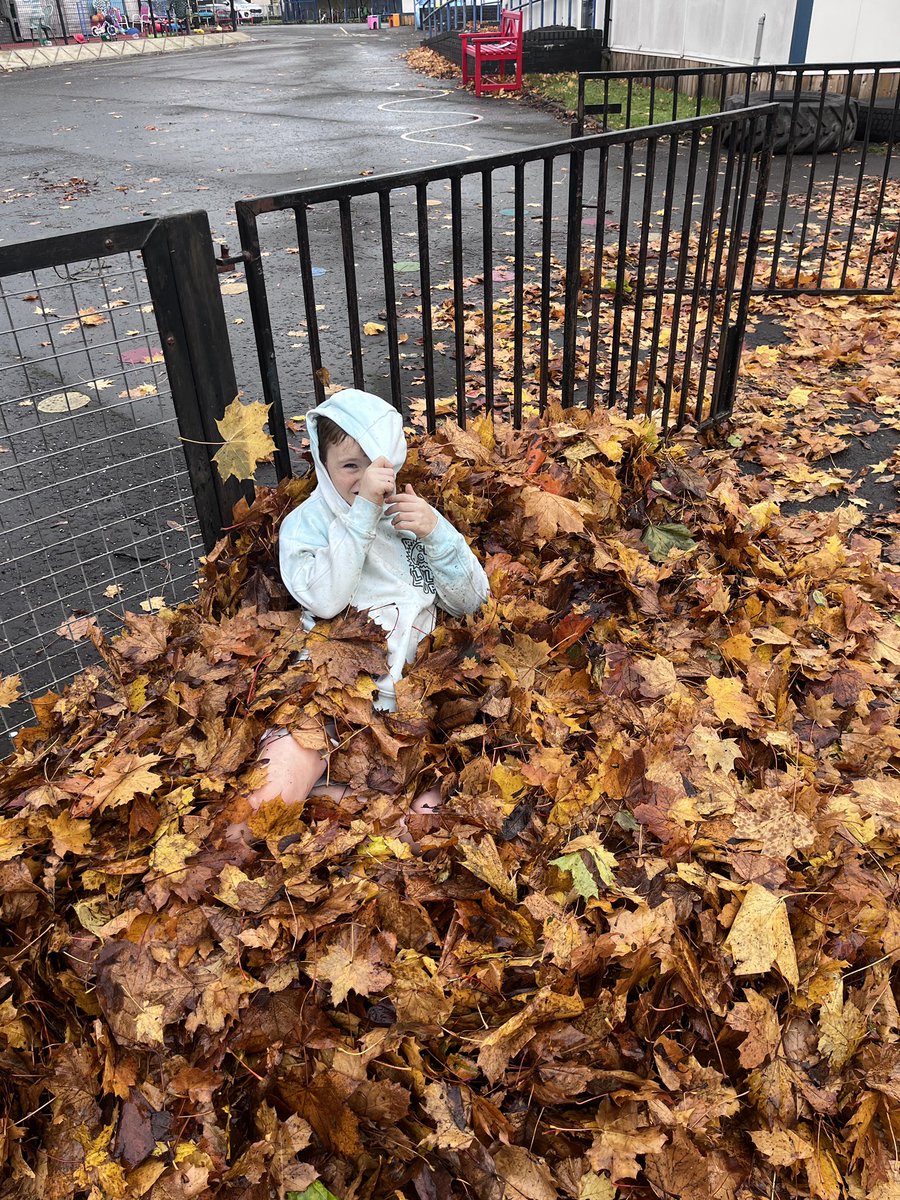 Mr Knight tweet media