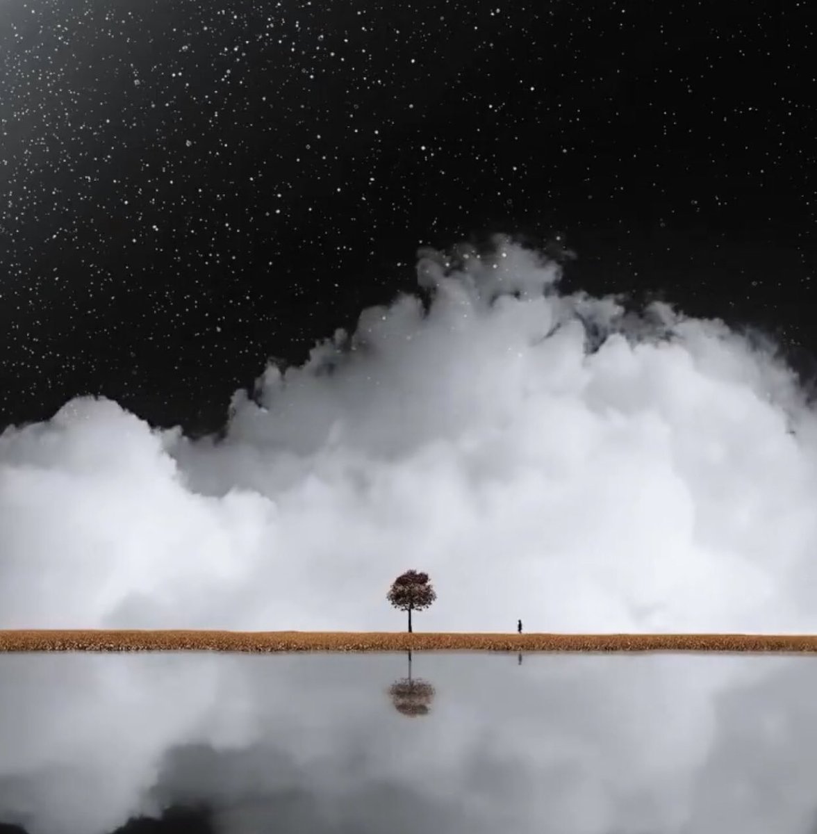 sadece iki günümüz var yaşamak için;
 
bu iki günü aşağılık adamların önünde diz çökerek geçirmeye değmez.
yaşamak yalvarmak için çok kısa.!

                               ——      volteire 
.