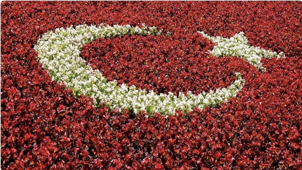 TRogretmen's tweet photo. Elon Musk Cumhuriyetin 101. Yılına özel, favori butonuna Türk Bayrağı animasyonu getirdi! 🇹🇷

#AsBayraklarıAs https://t.co/ucxb48Pe7O