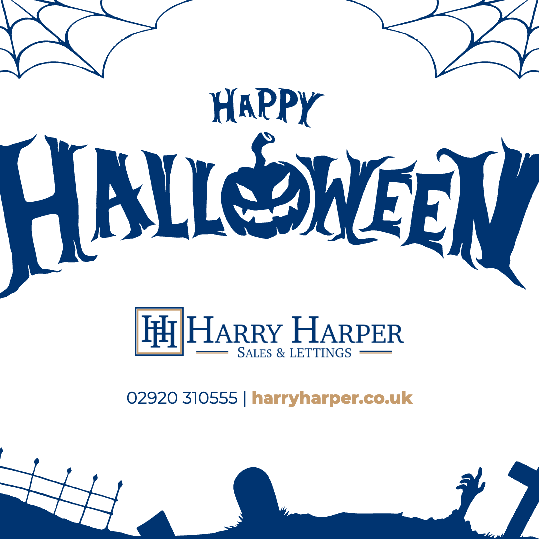 HarryHarper tweet media