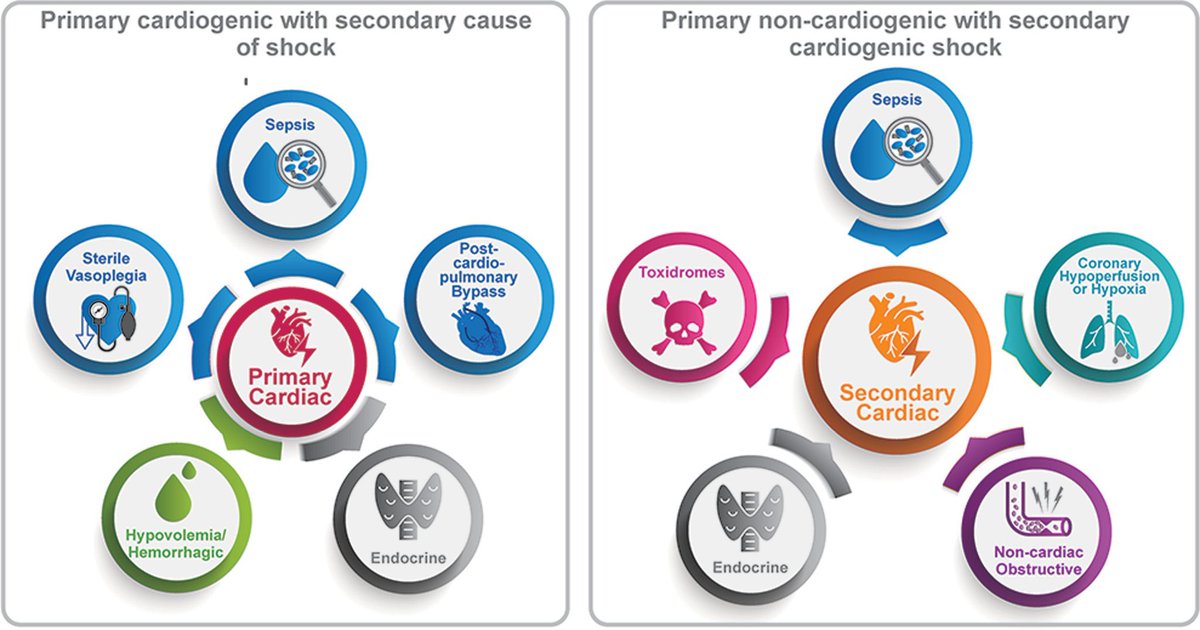 Alex Truesdell tweet media