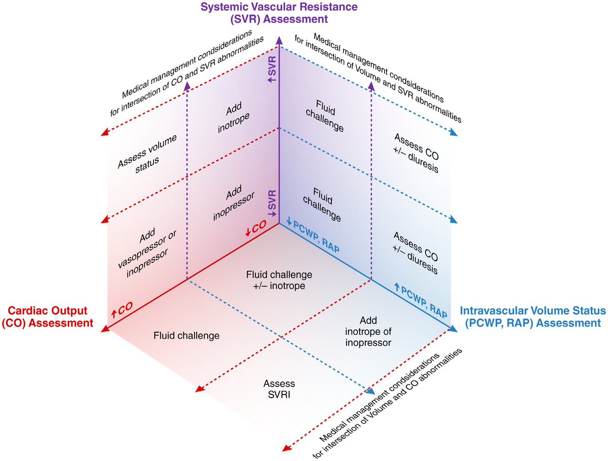 “Mixed Cardiogenic ⚡️🫀💥 Shock: A Proposal for Standardized Classification, a Hemodynamic Definition, and Framework for Management”👍: 🔗 ahajournals.org/doi/10.1161/CI……