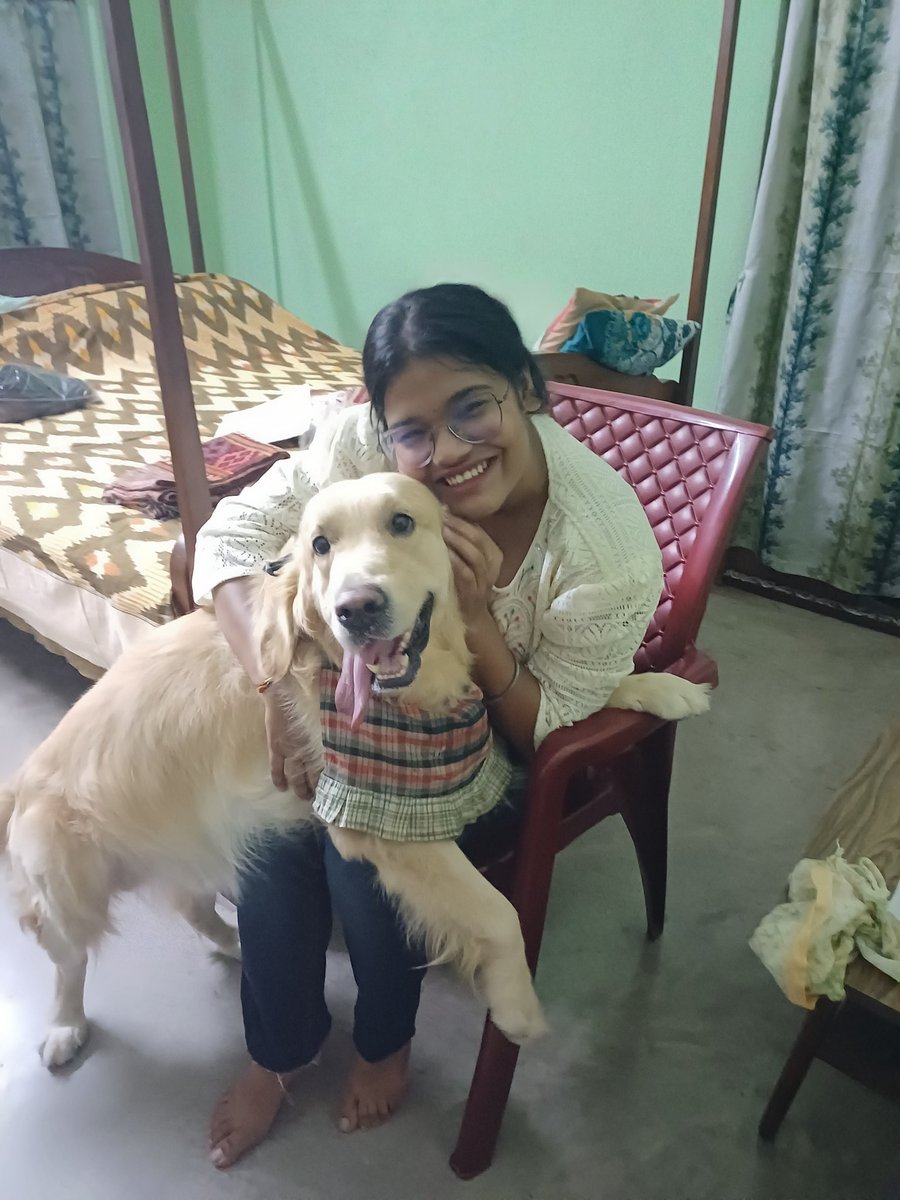 Umanshi9's tweet photo. Golden retriever ❤️😍 and corgis.
Any one want to corgis?
Ping me
#misti #mufasa #gini #halum #chini https://t.co/sgut7psfyp