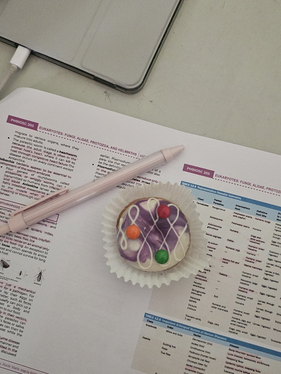 Midterm exams in a nutshell
𐙚‧₊˚📒✩ ₊˚☁️⊹♡