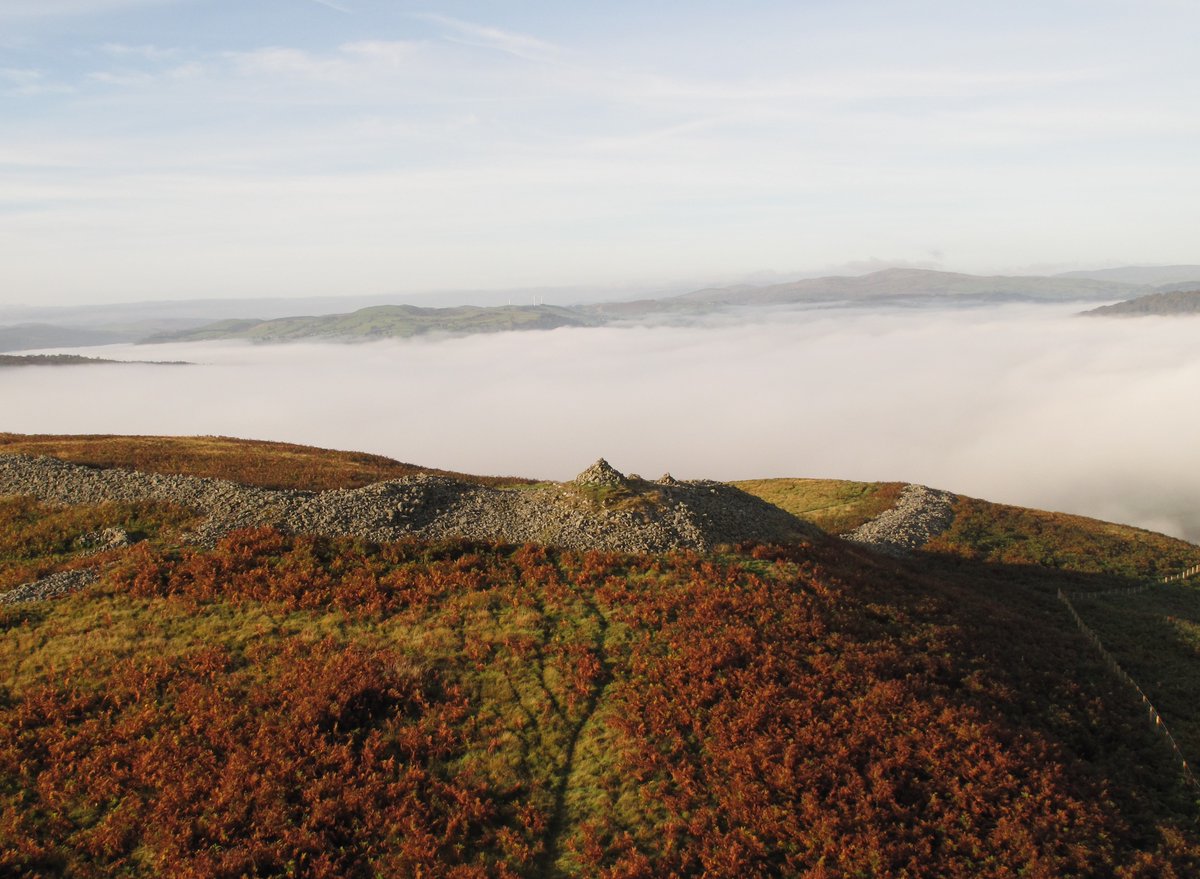 HeritageFundUK's tweet photo. In 2003, we funded the Heather and Hillforts project in Denbighshire, Wales with £50,000 to conserve the landscape and uncover its Iron Age history! 🌿 Explore the project here 👉 https://t.co/jIL8LoMLfa

#Heritage #NationalLottery30 #30ProjectsFor30Years https://t.co/rYd65D0zD9