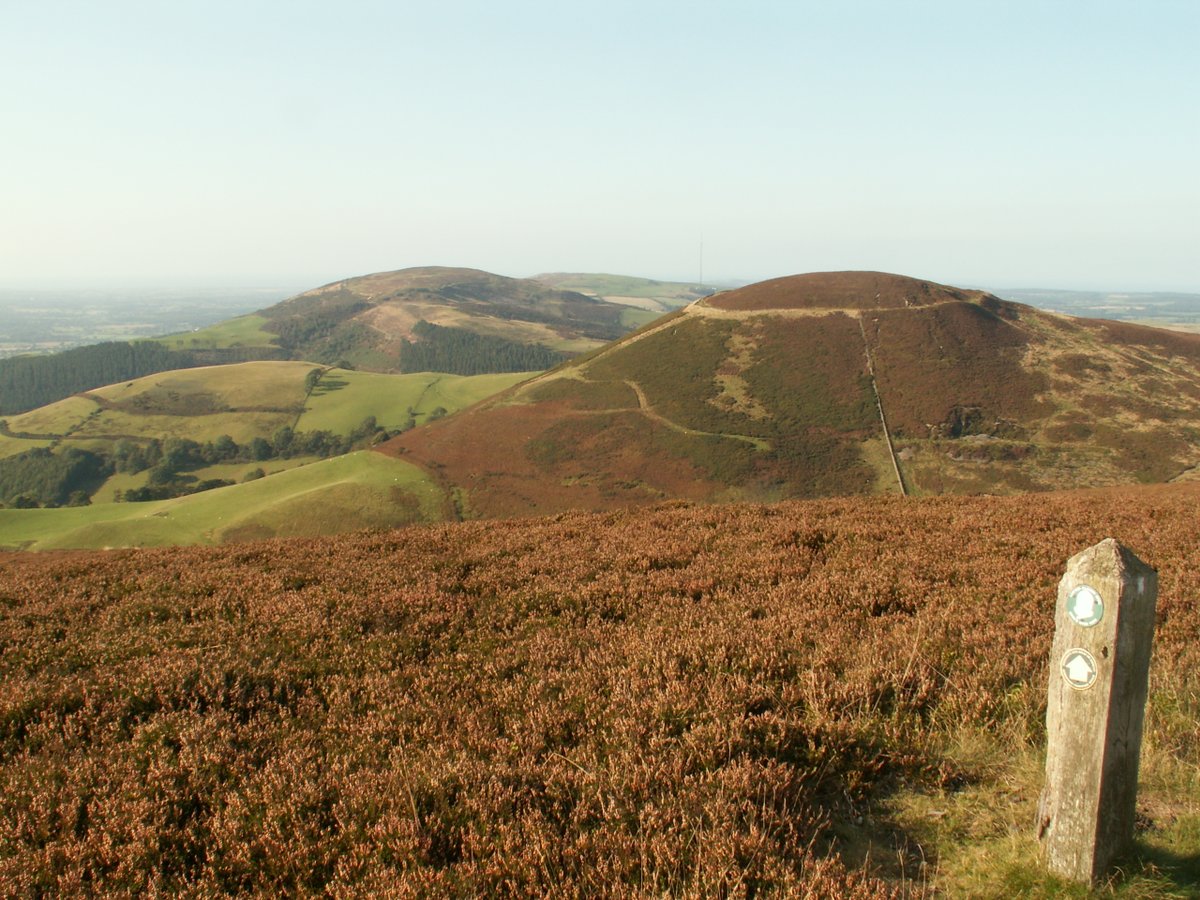HeritageFundUK's tweet photo. In 2003, we funded the Heather and Hillforts project in Denbighshire, Wales with £50,000 to conserve the landscape and uncover its Iron Age history! 🌿 Explore the project here 👉 https://t.co/jIL8LoMLfa

#Heritage #NationalLottery30 #30ProjectsFor30Years https://t.co/rYd65D0zD9