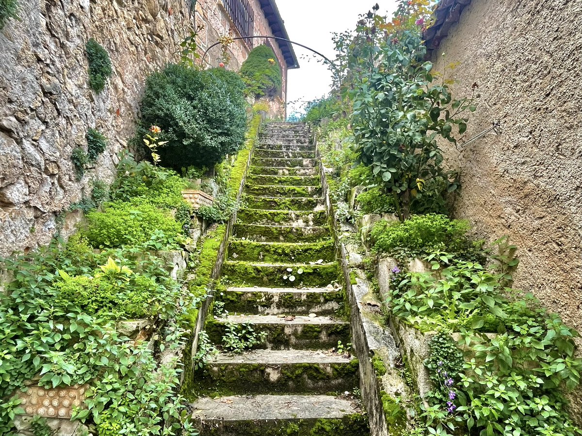 El jardín que quieres tweet media