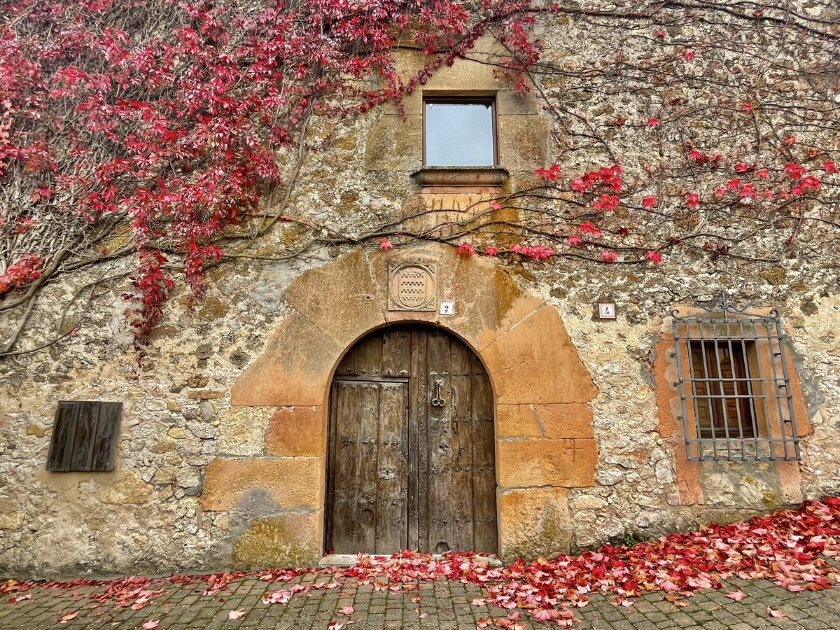 El jardín que quieres tweet media