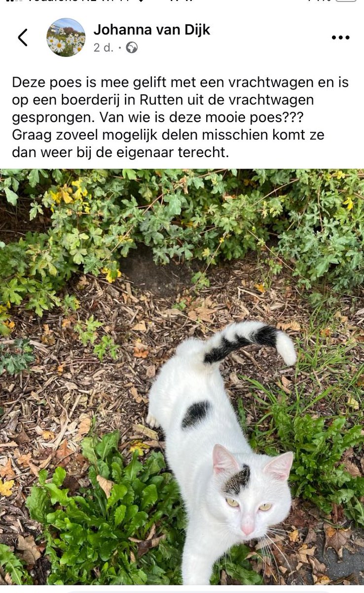 Maartje 2.0🍋💎 @maartjejanssen.bsky.social (@maartje_0) on Twitter photo 