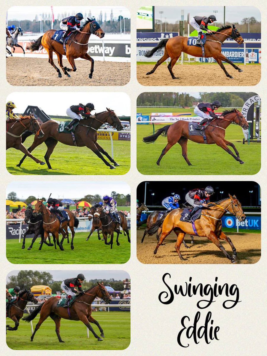 TheNorthernGam1's tweet photo. We have decided to retire Swinging Eddie from racing. He has been a fabulous horse for us with all the ups and downs you learn to love when owning a syndicate horse. 48 runs for us, 7 wins and 19 top 3 finishes in total. It took us a while to work him out, but when we did he 1/2 https://t.co/TC7rXcEneR