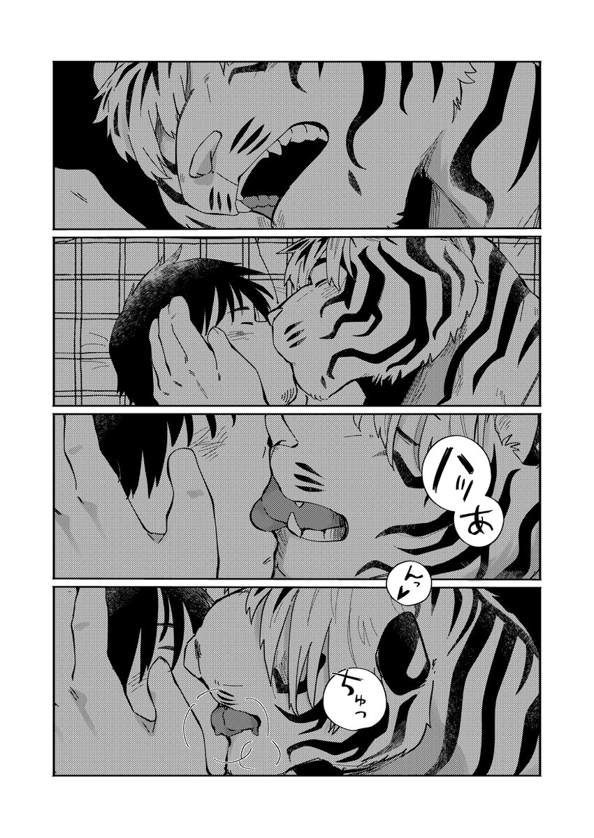 虎獣人声優と一緒に暮らしている一般成人男性の漫画(3/3) 