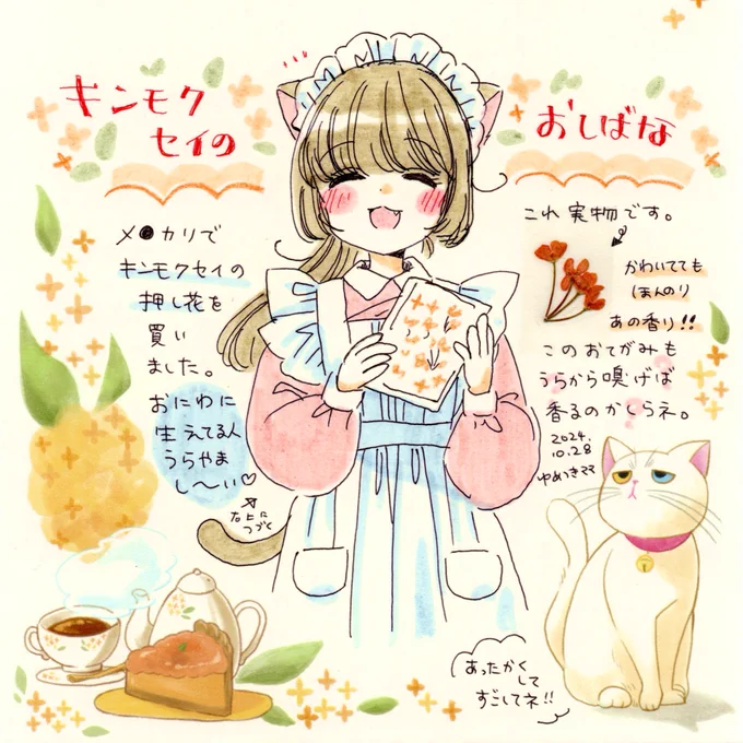 金木犀の押し花、購入…❣ 