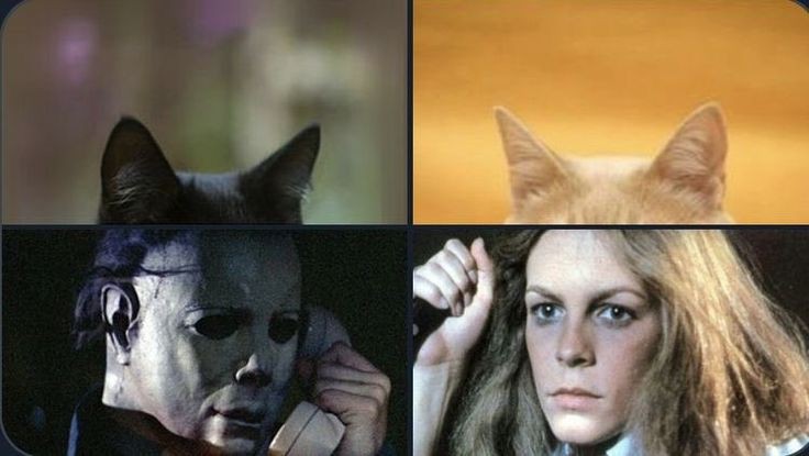 MichaelMyersJS's tweet image. This freaks meow-t. Seriously, not kitten.

#NationalCatDay #Halloween