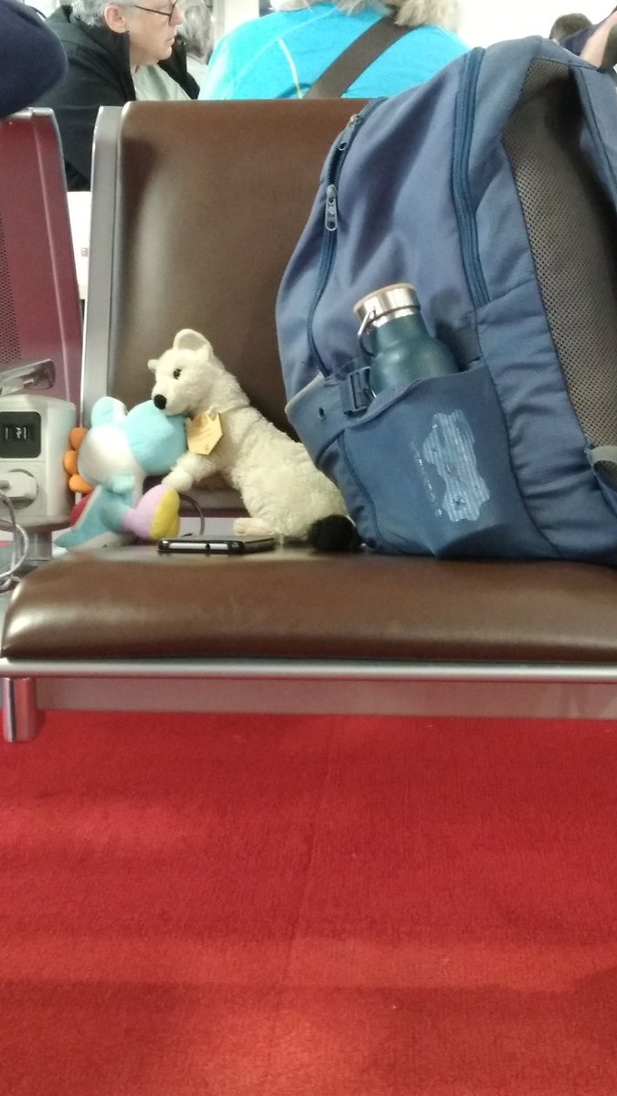 dodocurieux's tweet photo. Il se passe des choses sales à l'aéroport CDG entre @Erminig_NCO et Yoshi avant la #WikiconvFR https://t.co/fwaRSX03Ae