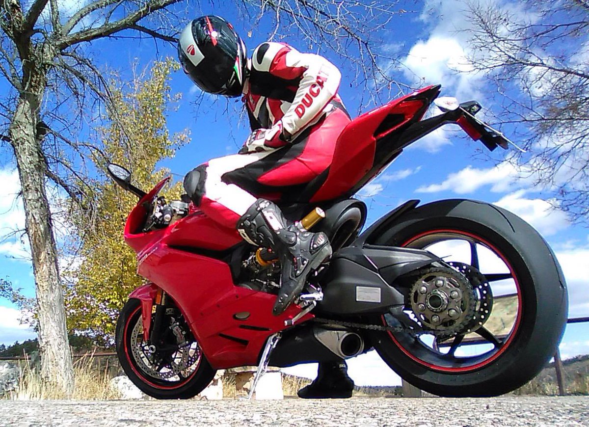 LEATHER~RUBBER~STALLION tweet media