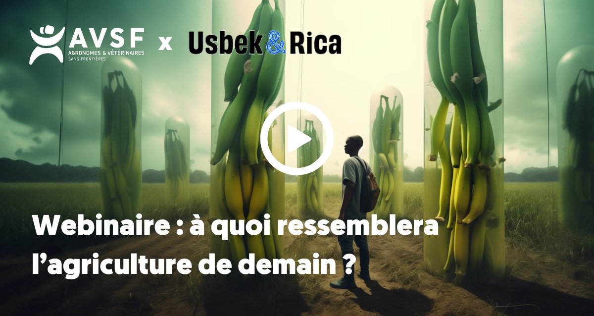 🎥 Vous l’avez manqué ? Le replay de notre #webinaire organisé avec <a href="/USBEKetRICA/">Usbek & Rica</a> est disponible !
👩‍🌾 Durant 1h, 3 experts-es du monde agricole croisent leurs regards sur 3 scénarios sur l'avenir de l'agriculture 
👉 avsf.org/webinaire-a-qu…