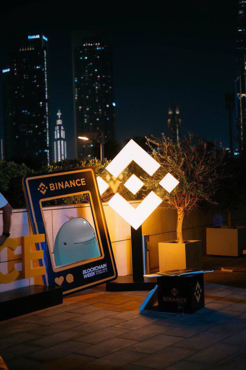 模拟盘天选之子-佩德里 tweet media