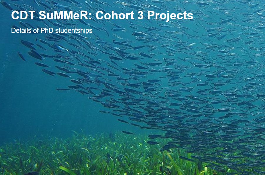 Environmental & Natural Sciences @ Bangor Univ. (@bangorsens) on Twitter photo New funded #PhD <a href="/BangorUni/">Bangor University</a> 'CDTS315: Pollution from source to cetaceans – antimicrobials as a case study for One Health wastewater pollution' plymouth.ac.uk/study/research… #phdchat New funded #PhD <a href="/BangorUni/">Bangor University</a> 'CDTS315: Pollution from source to cetaceans – antimicrobials as a case study for One Health wastewater pollution' plymouth.ac.uk/study/research… #phdchat