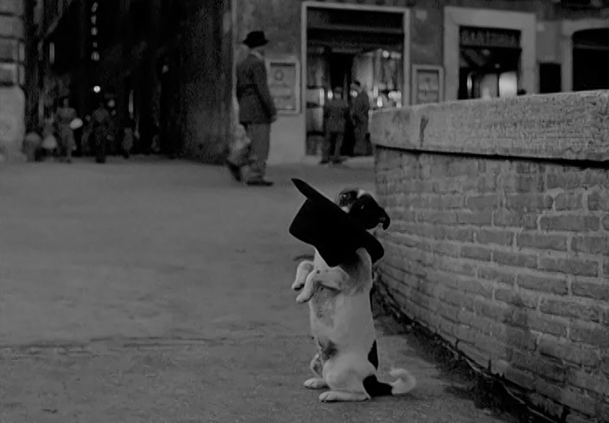 FabGiagnoni's tweet photo. #UmbertoD

Di #DeSica
Con #Carotenuto
1952
89 min.

Il #dramma della #povertà, all'epoca censurato fin dal titolo.
#Italian #NeoRealism focused on #poverty.

Voto: 7,5

#Drammatico #Drama 
#Film #Cinema #Movie #Cinematography #FilmTwitter #FilmTWT #Movies #MovieTwit #MovieReview https://t.co/i1wtOugqyS