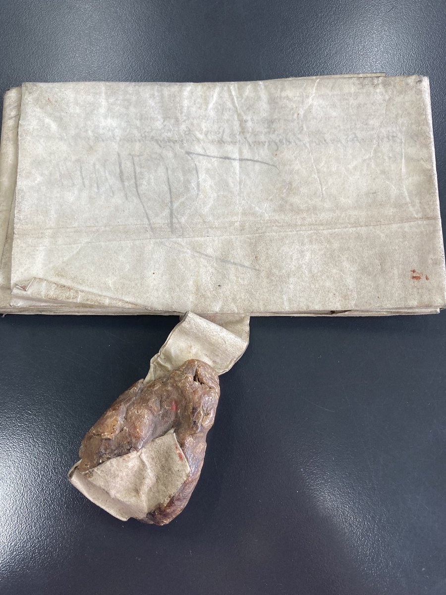 Hazeldevere's tweet photo. A contender for the world’s most unattractive seal…. @NatRecordsScot https://t.co/Q4iciLQ8fN