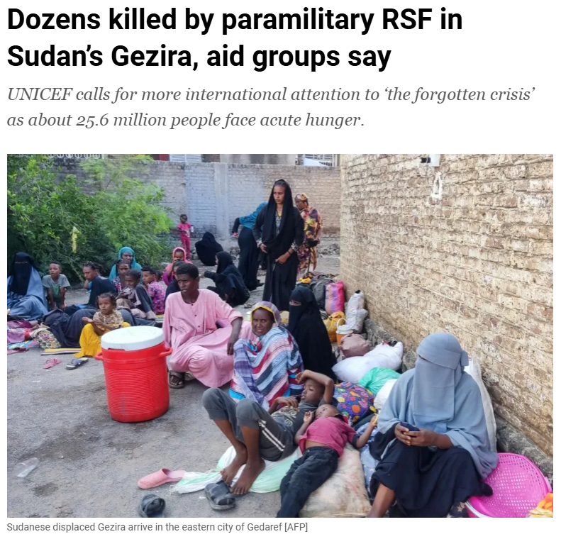 philippe_dam's tweet photo. It's not just in #Darfur's El-Fasher &amp; #Khartoum - Escalating hostilities in #Sudan’s Al-Jazirah state put once again civilians at risk of atrocities - warns @UNHumanRIghts chief.

Urgent for int'l actors to support a robust presence to protect civilians.

https://t.co/A02fFb9qJr https://t.co/mI0T0F5oW6
