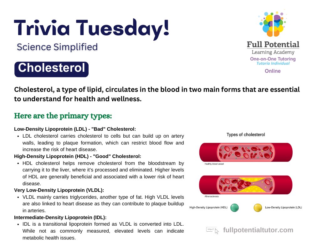 FPLAUSA's tweet image. Cholesterol comes in types: HDL (good), LDL (bad), and VLDL. Keep them in balance for better heart health! 💖 

#LDL #HDL #GoodCholesterol #BadCholesterol #HeartWellness #BloodHealth #PreventativeCare #ScienceMatters #FPLA #Miami