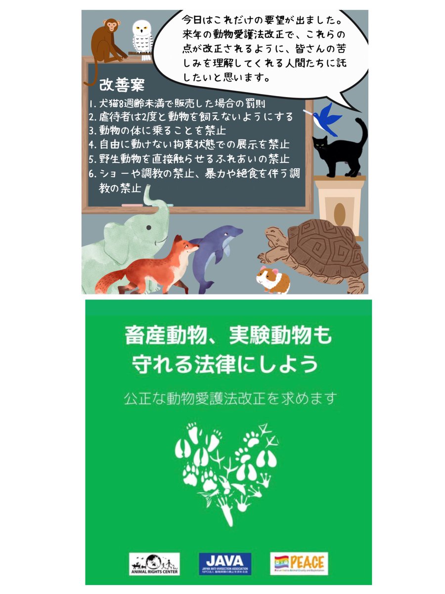 pigshavehearts's tweet photo. 展示されている動物たちのこと、
幸せかな?
なぜあんな芸をするんだろう?
同じ動きを繰り返していないかな?
野生にいたら、こんなことするかな?
一生過ごすには狭すぎないかな?
家族や仲間はどうしたんだろう?
と自分ごとにして考えてみると、見え方が違ってくるかもしれません。署名へのご協力よろしくお願い致します。https://t.co/T2aXYxsZ3N
#展示動物 #野生のゾウ
#アニマルカフェ
#動物サーカス #ふれあい動物
#動物園 #水族館
#イルカショー #モルモットのいる生活
#リクガメのいる生活
#動物愛護法改正
#動物愛護法
#キツネ #野生動物が好き
#保護動物 #フクロウカフェ
#ブルフック #サーカス
#フェレットのいる生活 #うさぎカフェ
#アニマルウェルフェア
#ドルフィンスイム #イルカと泳ぐ
#署名活動 #ボランティア活動
#数値規制 #犬猫保護活動
#引き取り屋