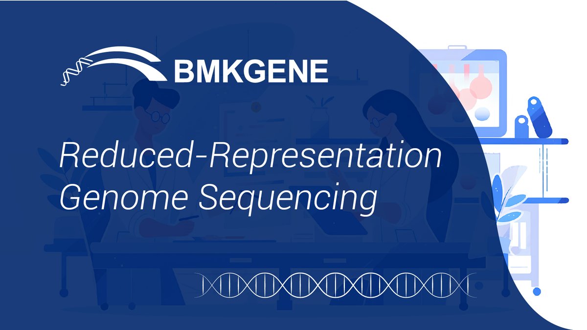 BmkgeneEurope's tweet photo. Reduced-Representation Genome Sequencing (RRGS) refers to the technique of using restriction endonucleases to digest genomic DNA, followed by high-throughput sequencing of the digested fragments.
Contact us for more information.
#RRGS #BMKGENE #POPULATIONSTUDY #GENETICS https://t.co/0unHj2GWdt