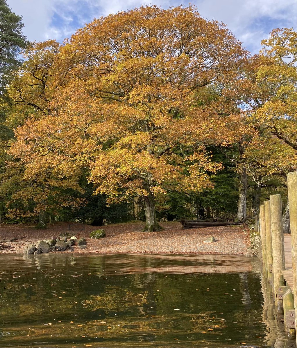 With autumn colours as stunning as this, why go anywhere else 😃 come see the autumn colours at Keswick for yourself in our centrally located guest house, rooms available this week at leonardsfieldhouse.com/tariff-availab… #autumnvibes #TreatYourself #autumncolors #getoutside