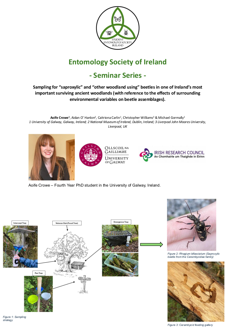 Save the date for the next EntoSoc seminar series! 
We are delighted to announce the presentation of <a href="/Aoifejanecrowe/">Aoife</a> on Monday 11th November, PhD student at University of Galway!
She will present her work on #woodland_beetles in Ireland