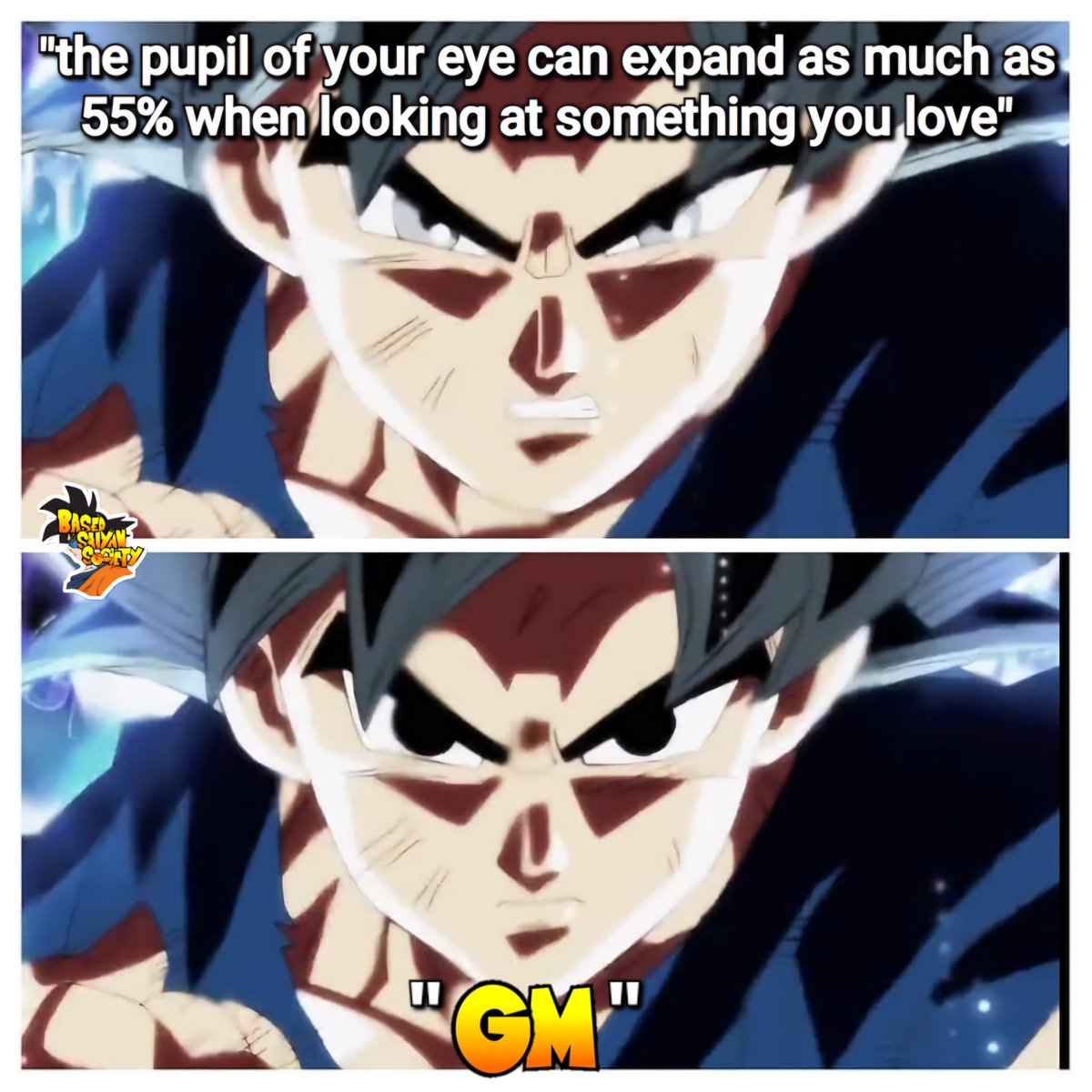 Goku_is_Lit_Me's tweet photo. GM, frens. Sorry that the meme well has been dry of late. I'll get back posting on the reg soon as I can.

#dragonballsuper #dragonball #dragonballz #dragonballgt #dragonballdaima #db #dbz #dbgt #dbs #dbdaima #ChristIsLord #ChristIsKing #gm #goodmorning #25pushups https://t.co/cUObhyTDhm