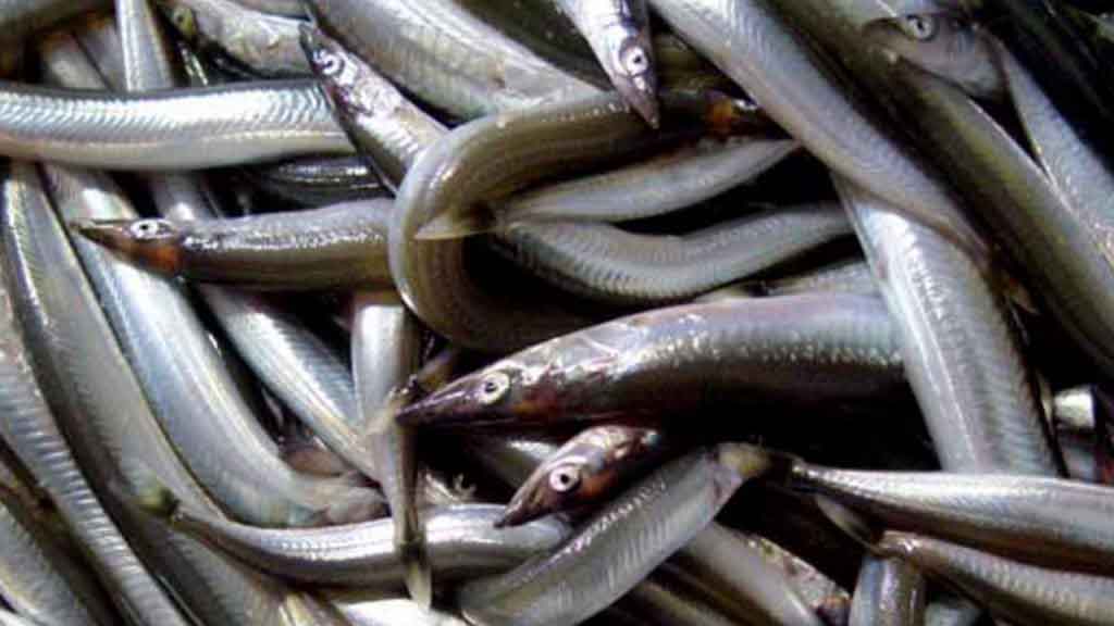 Industrifiskeriets interesseorganisationer bifalder voldgiftsagen mod UK dlvr.it/TFrBZv