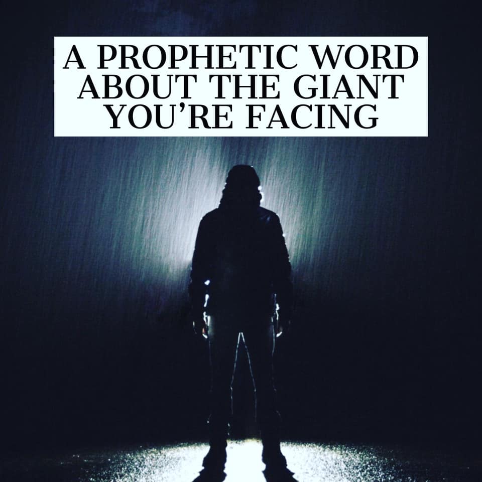 propheticbooks's tweet photo. The Lord says, “The giant that looks so intimidating you will look much smaller in My shadow. For I am bigger than, greater than and stronger than your enemy. So hide yourself under the shadow of my wings and look at the giant from my perspective." https://t.co/WSSe8q2WtX