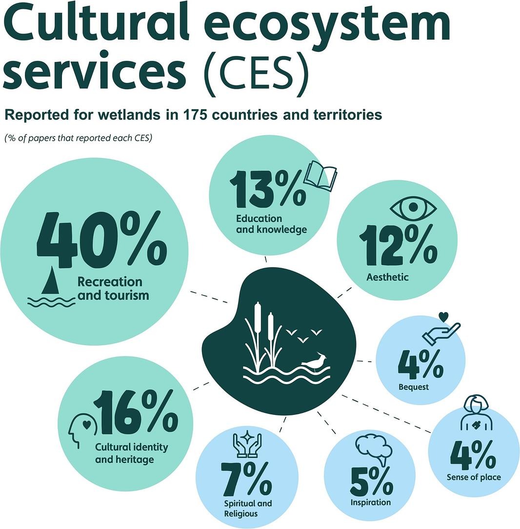 🚨New paper alert🚨

Our new paper (expertly led by @drkevinwood) is now online:

A global systematic review of the cultural ecosystem services provided by #wetlands

You can get free access to it until 17th December 2024

sciencedirect.com/science/articl…