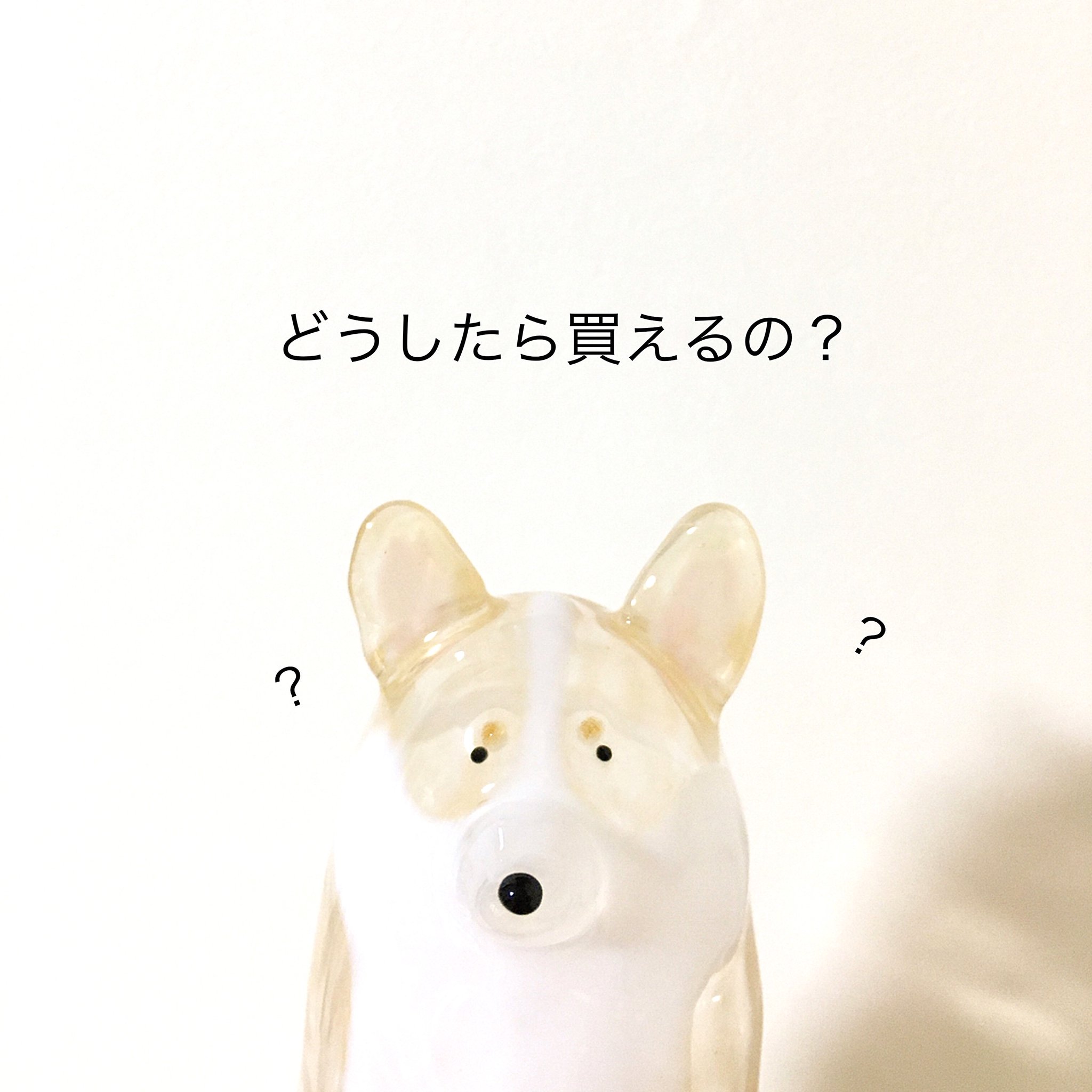 うちの子のけだまだま on X: 