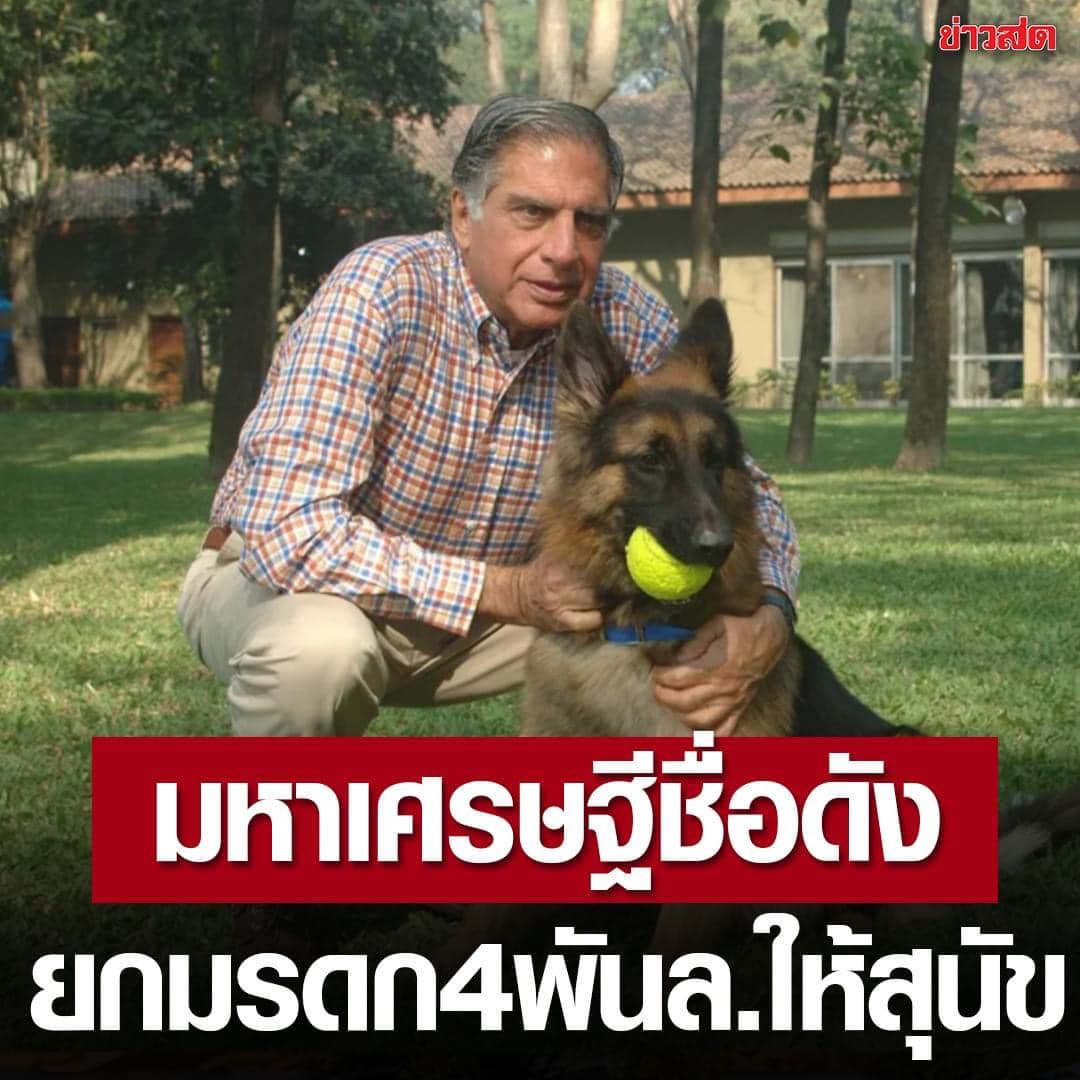 ทนายฉาว ทนายโจร ทนายแบรนด์ กำลังหาทางฝากตัวเองกับลูกเมีย ไปเป็นลูกบุญธรรม #โรงเรียนชื่อดังในลพบุรี #แบนแน็กชาลี #องุ่นไชน์มัสแคท #นายกรัฐมนตรี #ทนายตั้ม #บอสดารา #บอสพอล