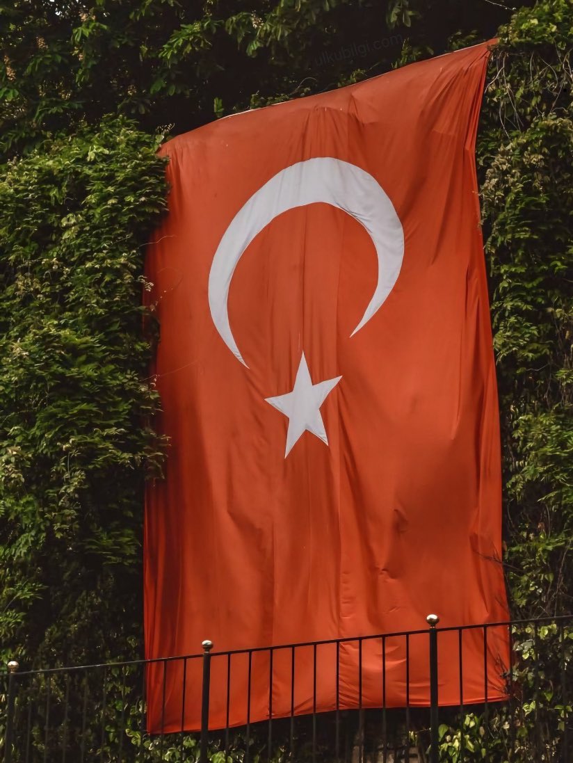 X Cumhuriyet Bayramımızın 101.yılına özel beğen butonuna basınca çıkan bayrağımızın logosunu eklemiş,gururlandım..#AsBayraklarıAs