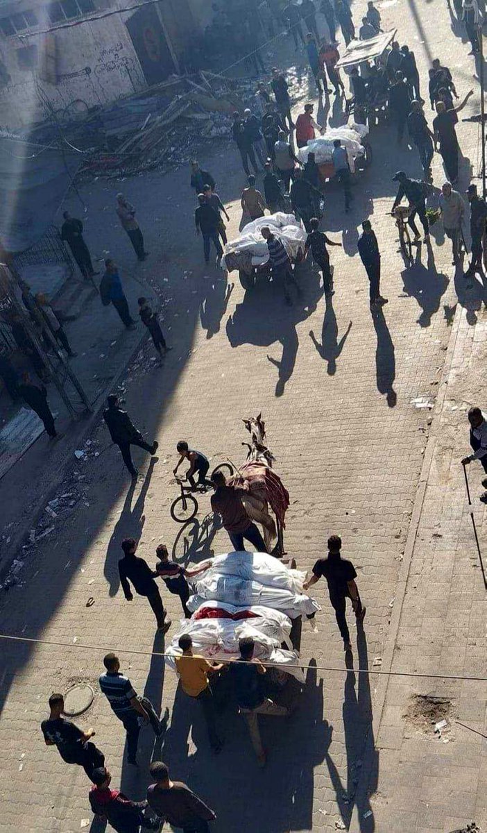 gazanotice's tweet photo. The death toll from the horrific massacre carried out by the Israeli army this morning in Beit Lahiya, Gaza, has reached 93, with 40 people still trapped under the rubble.

The bodies of dozens of Palestinian civilians are being transported to the market area by animal-drawn carts for burial.