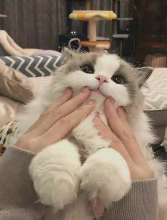 nkatcher's tweet image. Smile, it's Nicholas Katcherian!