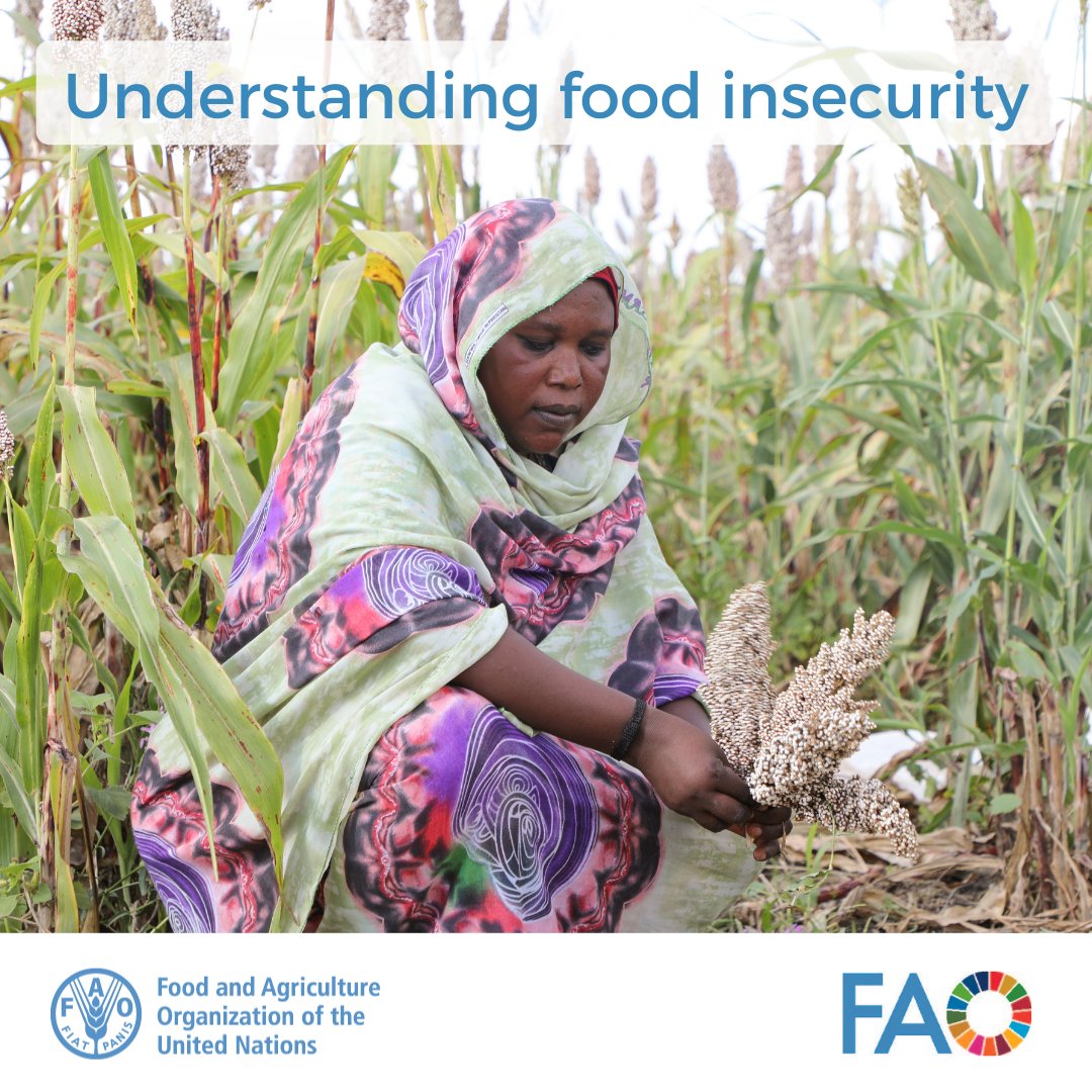 FAOGeneva tweet media