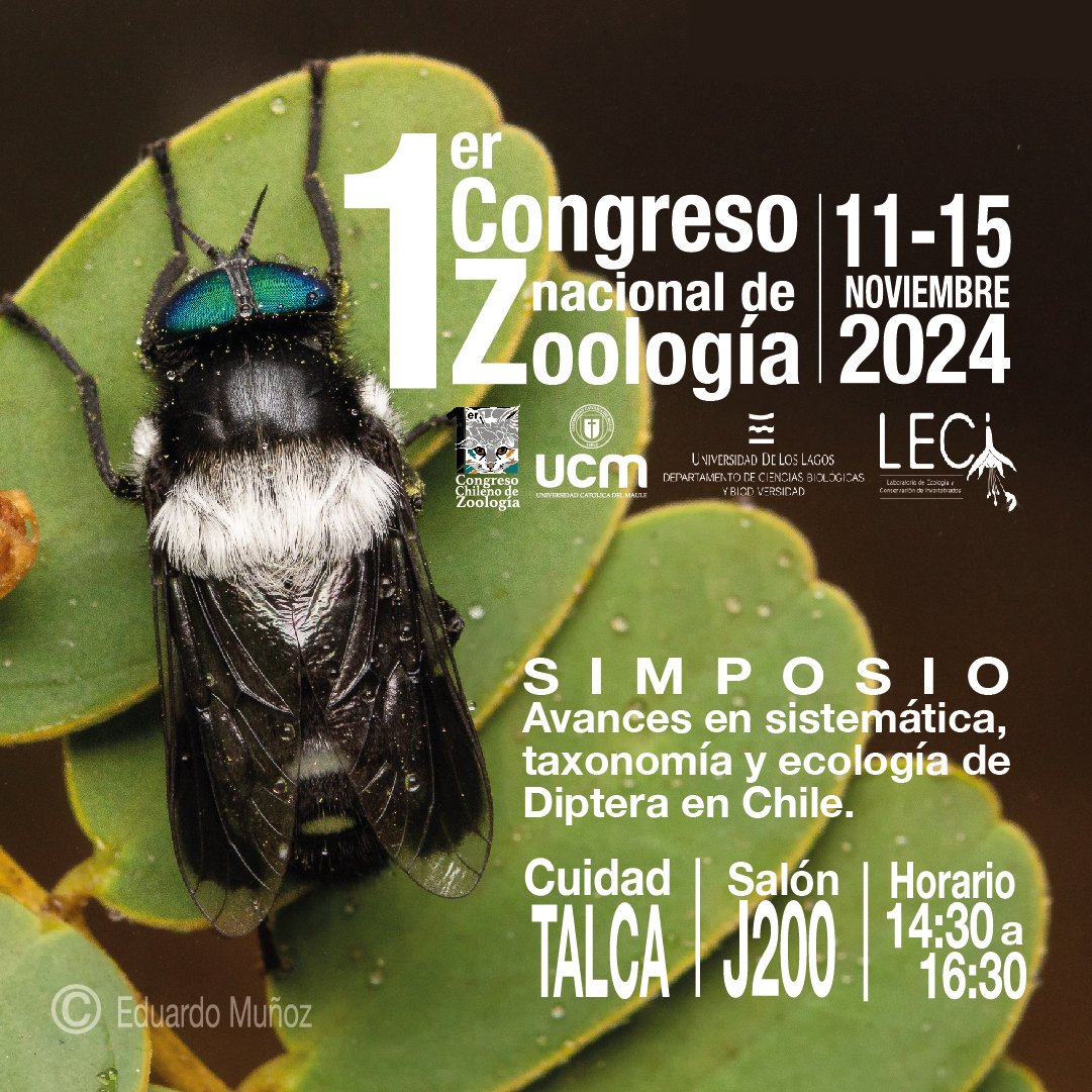 Entre el 11 y el 15 de Noviembre, nos vamos al primer congreso nacional de Zoología que se hace en Chile. Casi 900 personas!! Y bueno, nosotros vamos con un simposio de "Avances en sistemática, taxonomía y ecología de Diptera en Chile", a parte, presentaré sobre otros temas!