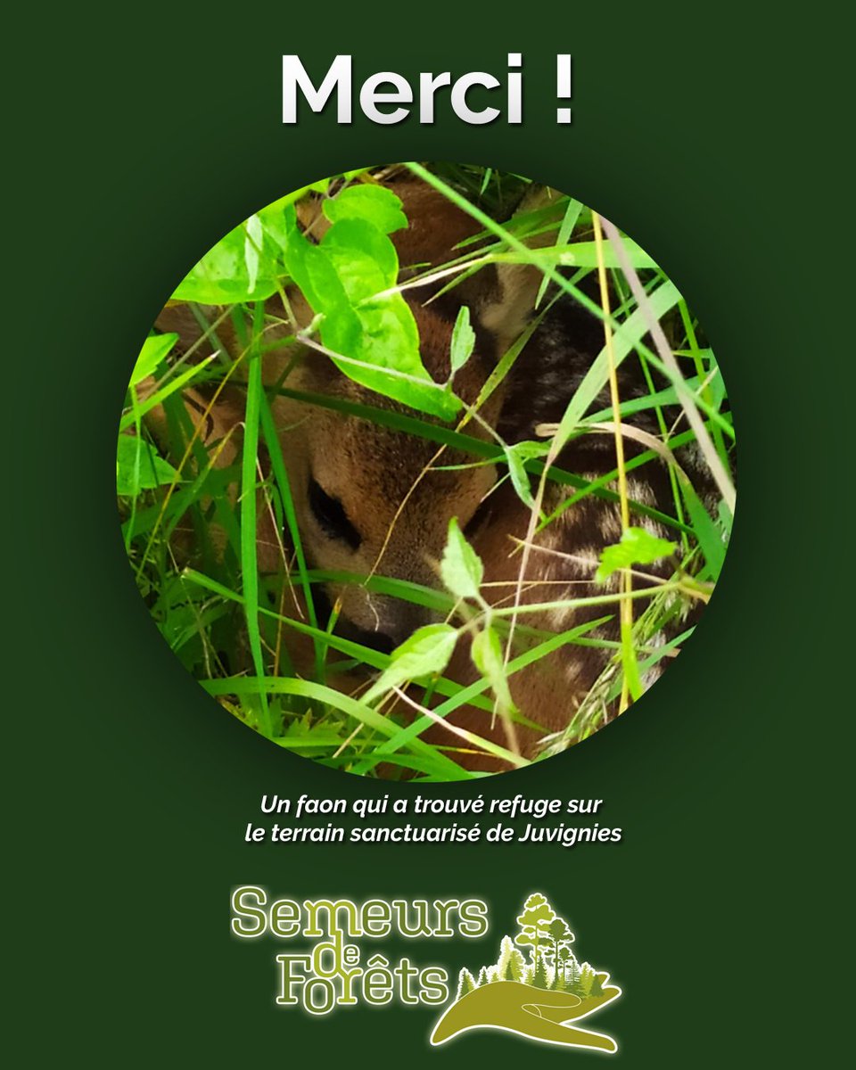 Semeurs de forêts tweet media