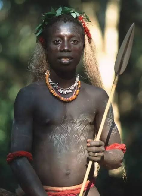 Joe__Bassey's tweet image. Many of us may not believe this people are from India because they look Africans. Yes, because you were not told.

The Jarawas are an indigenous group of India. They live on South Andaman and Middle Andaman Islands.