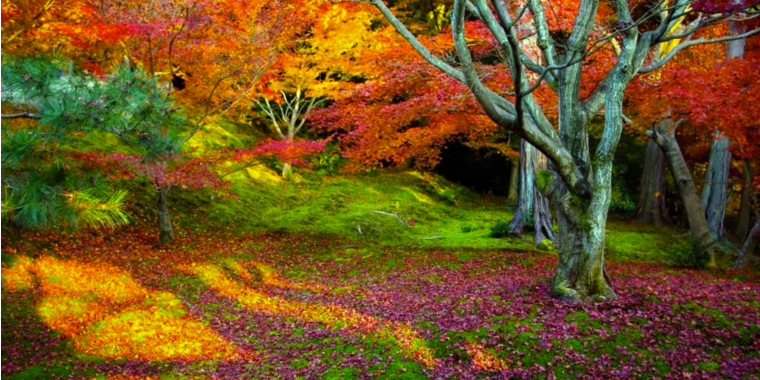 La Science, CQFD tweet media