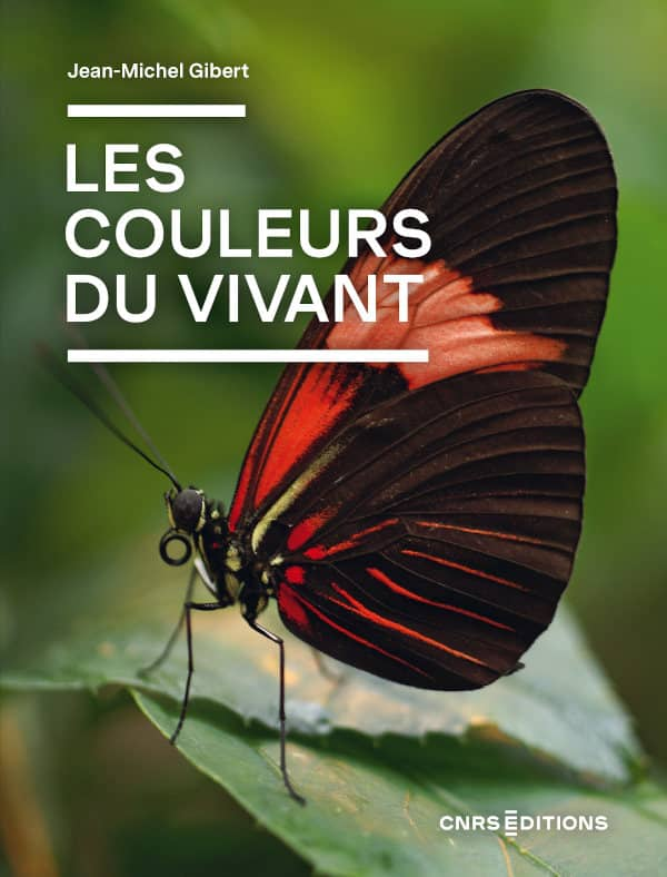 [RDV 16h !] Plumes d'oiseaux, pétales de fleurs, feuilles des arbres : le vivant nous offre une grande diversité de couleurs à contempler. Mais, comment les expliquer ? tinyurl.com/2cnbombd avec Jean-Michel Gibert et <a href="/Kamil_Fadel/">Kamil Fadel</a>